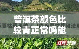 普洱茶颜色比较青正常吗能喝吗？