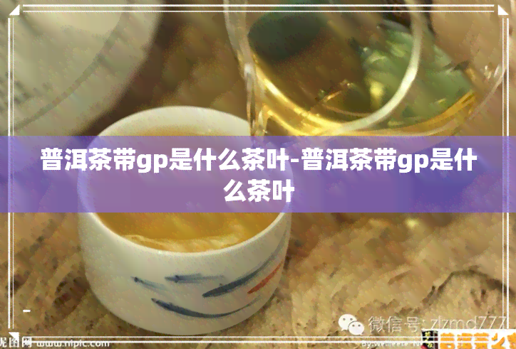 普洱茶带gp是什么茶叶-普洱茶带gp是什么茶叶