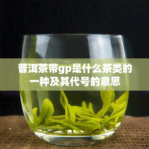 普洱茶带gp是什么茶类的一种及其代号的意思