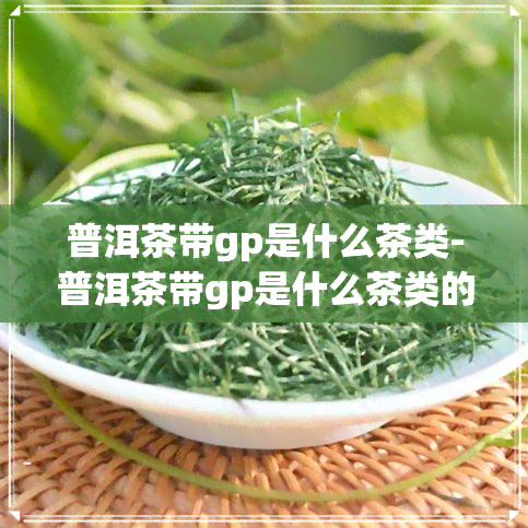 普洱茶带gp是什么茶类-普洱茶带gp是什么茶类的