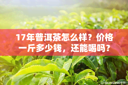 17年普洱茶怎么样？价格一斤多少钱，还能喝吗？