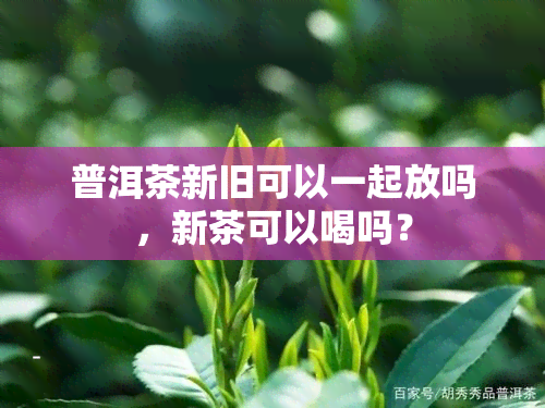 普洱茶新旧可以一起放吗，新茶可以喝吗？