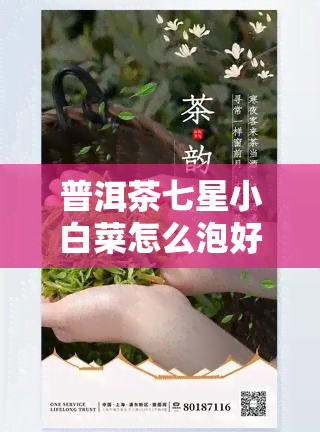 普洱茶七星小白菜怎么泡好喝视频教程