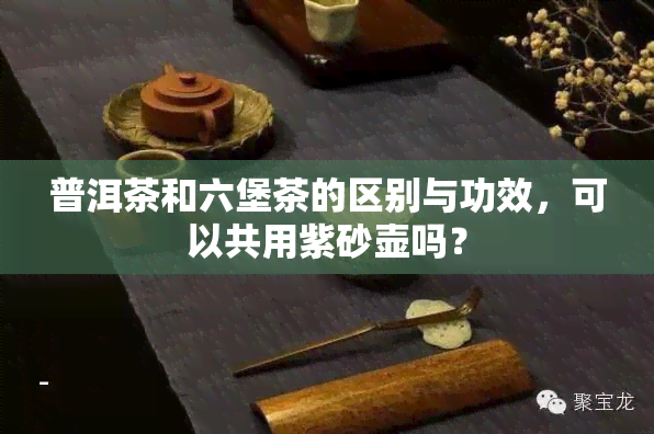 普洱茶和六堡茶的区别与功效，可以共用紫砂壶吗？