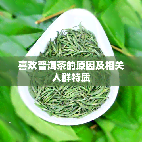 喜欢普洱茶的原因及相关人群特质