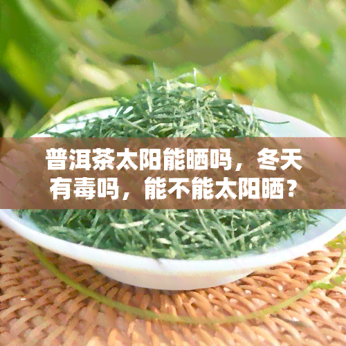 普洱茶太阳能晒吗，冬天有吗，能不能太阳晒？