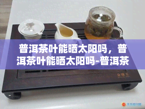 普洱茶叶能晒太阳吗，普洱茶叶能晒太阳吗-普洱茶叶能晒太阳吗怎么晒