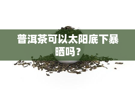 普洱茶可以太阳底下暴晒吗？