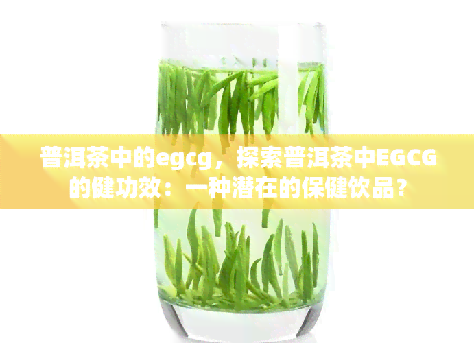 普洱茶中的egcg，探索普洱茶中EGCG的健功效：一种潜在的保健饮品？