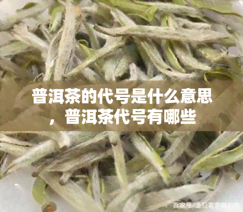 普洱茶的代号是什么意思，普洱茶代号有哪些