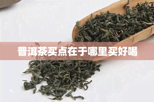 普洱茶买点在于哪里买好喝