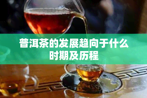 普洱茶的发展趋向于什么时期及历程