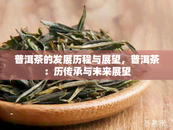 普洱茶的发展历程与展望，普洱茶：历传承与未来展望