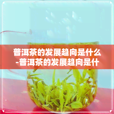 普洱茶的发展趋向是什么-普洱茶的发展趋向是什么意思