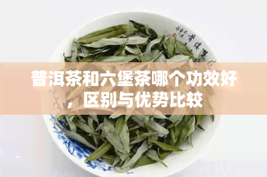 普洱茶和六堡茶哪个功效好，区别与优势比较