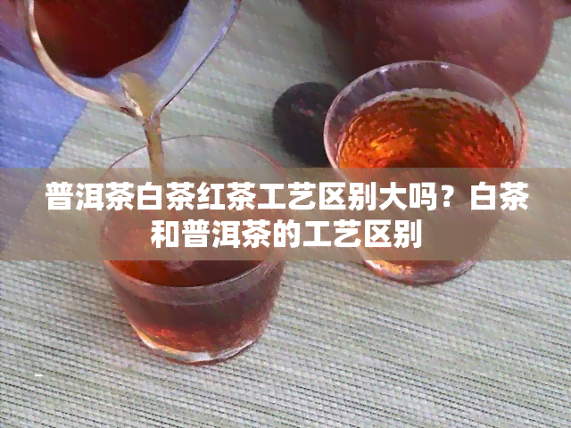 普洱茶白茶红茶工艺区别大吗？白茶和普洱茶的工艺区别