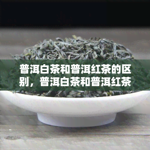 普洱白茶和普洱红茶的区别，普洱白茶和普洱红茶的区别-普洱白茶和普洱红茶的区别是什么