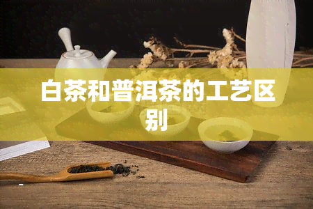 白茶和普洱茶的工艺区别