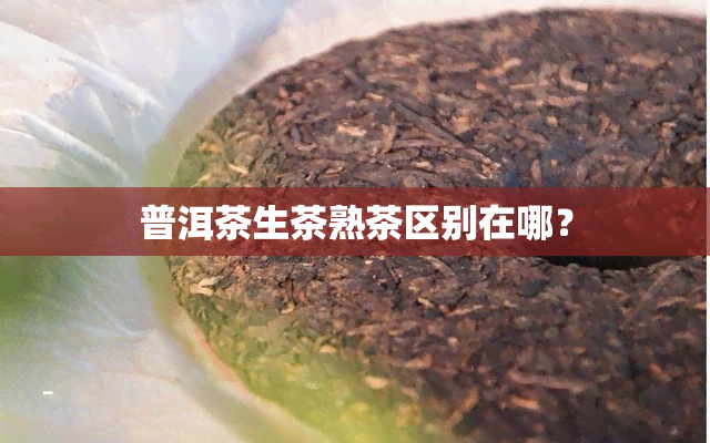 普洱茶生茶熟茶区别在哪？