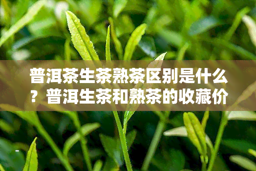 普洱茶生茶熟茶区别是什么？普洱生茶和熟茶的收藏价值?