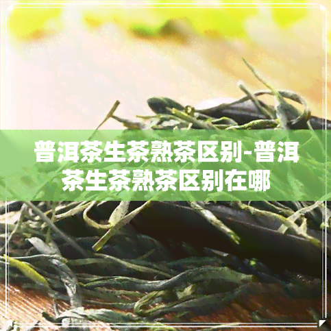 普洱茶生茶熟茶区别-普洱茶生茶熟茶区别在哪