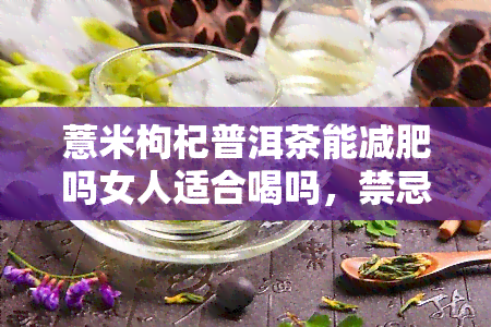 薏米枸杞普洱茶能减肥吗女人适合喝吗，禁忌和注意事项