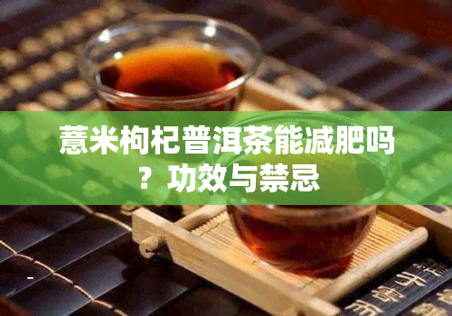 薏米枸杞普洱茶能减肥吗？功效与禁忌