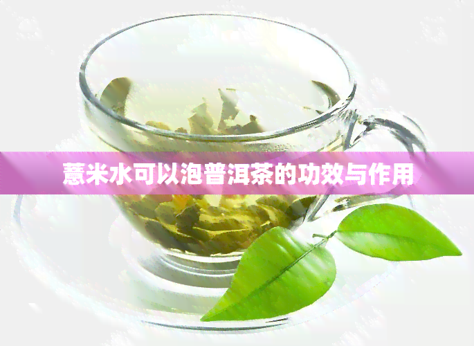 薏米水可以泡普洱茶的功效与作用