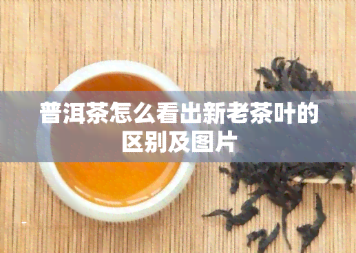 普洱茶怎么看出新老茶叶的区别及图片