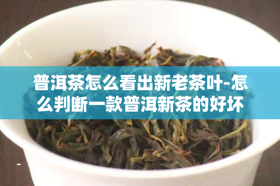 普洱茶怎么看出新老茶叶-怎么判断一款普洱新茶的好坏