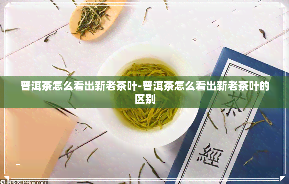 普洱茶怎么看出新老茶叶-普洱茶怎么看出新老茶叶的区别