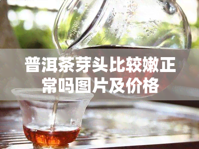 普洱茶芽头比较嫩正常吗图片及价格