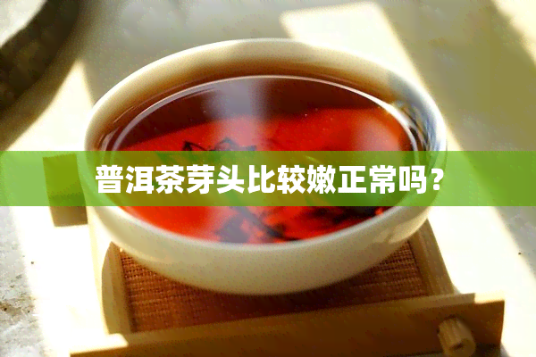 普洱茶芽头比较嫩正常吗？