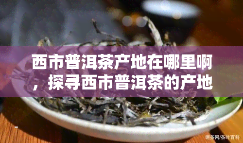 西市普洱茶产地在哪里啊，探寻西市普洱茶的产地探秘