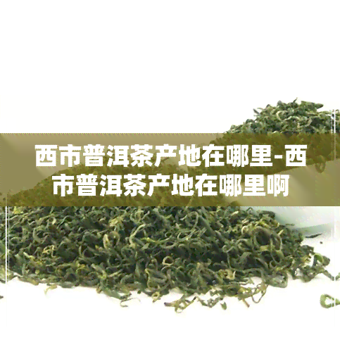 西市普洱茶产地在哪里-西市普洱茶产地在哪里啊