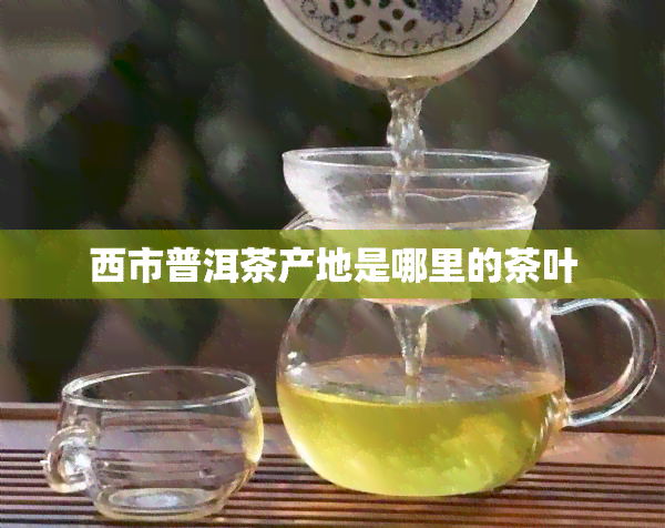 西市普洱茶产地是哪里的茶叶