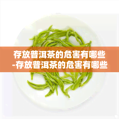 存放普洱茶的危害有哪些-存放普洱茶的危害有哪些呢