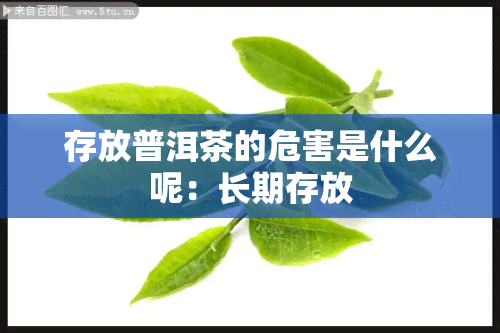 存放普洱茶的危害是什么呢：长期存放