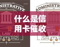 什么是信用卡员，信用卡员：职责与技能解析