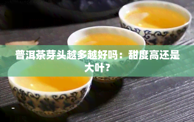 普洱茶芽头越多越好吗：甜度高还是大叶？