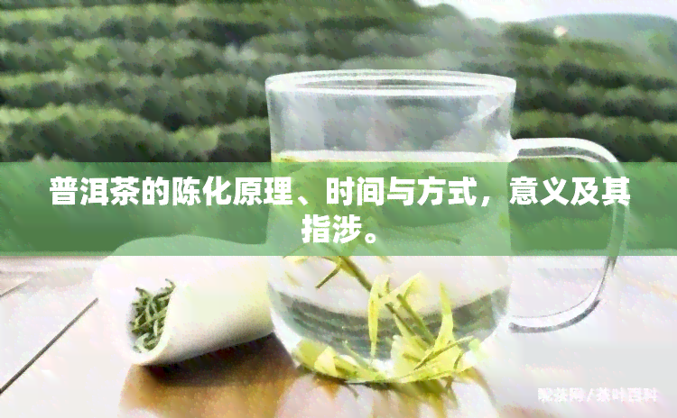 普洱茶的陈化原理、时间与方式，意义及其指涉。