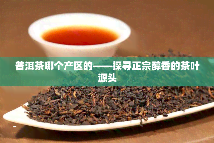 普洱茶哪个产区的——探寻正宗醇香的茶叶源头