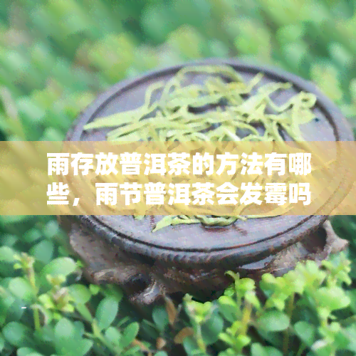 雨存放普洱茶的方法有哪些，雨节普洱茶会发霉吗