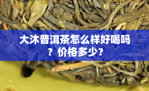 大沐普洱茶怎么样好喝吗？价格多少？