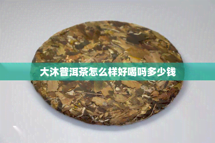 大沐普洱茶怎么样好喝吗多少钱