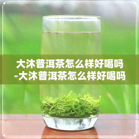 大沐普洱茶怎么样好喝吗-大沐普洱茶怎么样好喝吗知乎