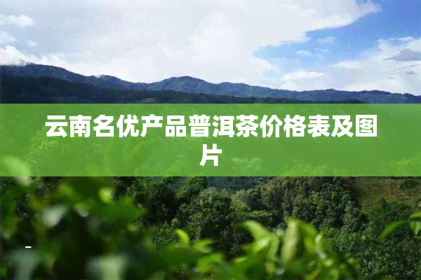 云南名优产品普洱茶价格表及图片