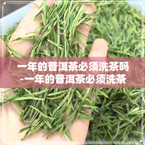 一年的普洱茶必须洗茶吗-一年的普洱茶必须洗茶吗为什么