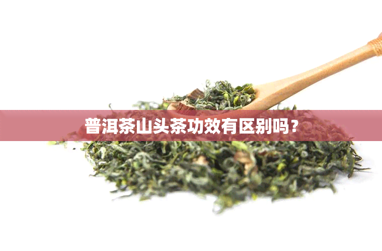 普洱茶山头茶功效有区别吗？