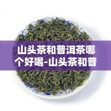 山头茶和普洱茶哪个好喝-山头茶和普洱茶哪个好喝一点